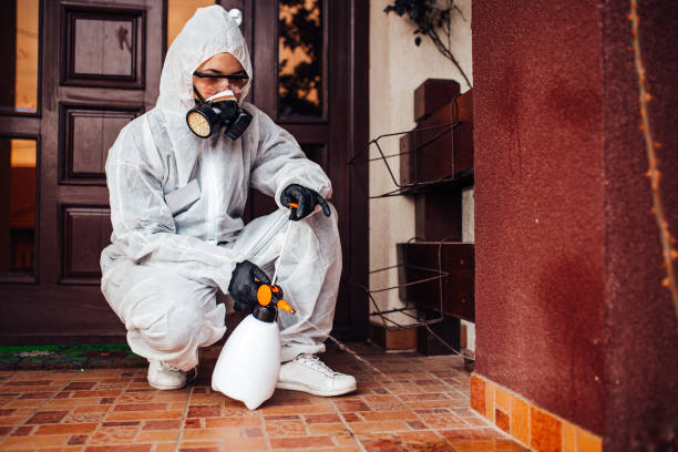 Reliable Cockroach Control contractor in Inver Grove Heights, MN by Nex Pest Control