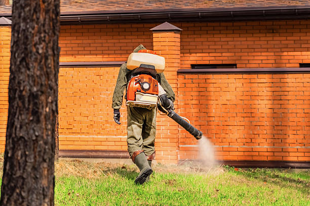 Trusted Termite Control service in Inver Grove Heights, MN - Nex Pest Control
